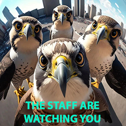 ZgfqX8.png