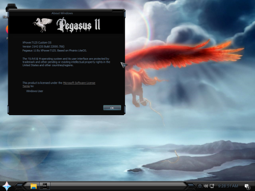 Pegasus 11 2026 01 21 17 28 50