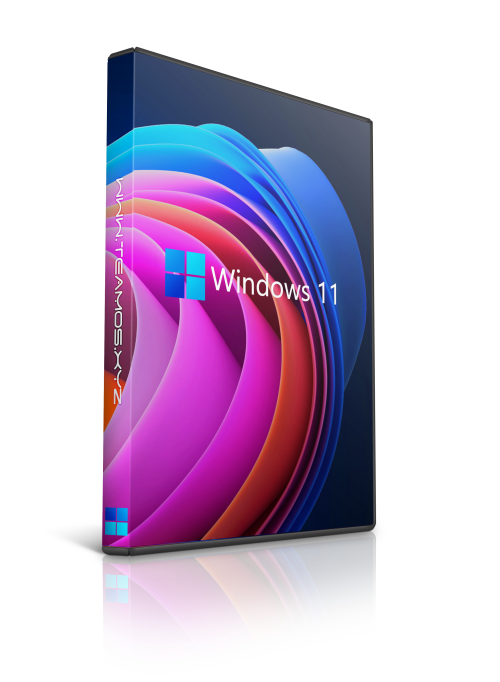 Windows 11