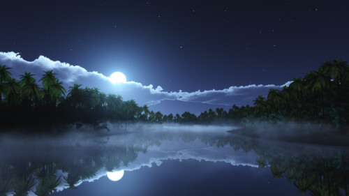Tropic cold night 1920 x 1080