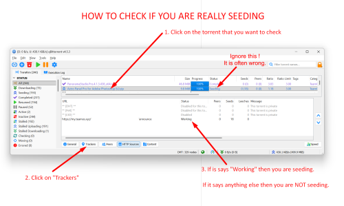 How to check if you are really seeding bis